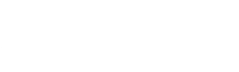 Arctic Tern 北极燕鸥